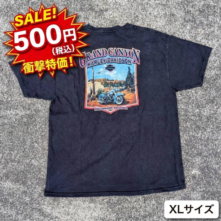 ハーレーダビッドソン②(GrandCanyon)Tシャツ／XLサイズ